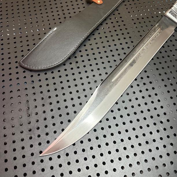 Croc Fang Bowie
